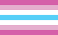 Femboy Pride Flag