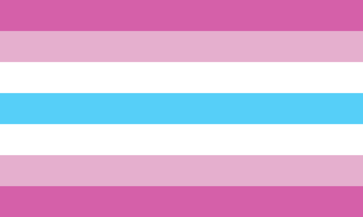 Femboy Pride Flag