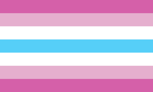 Femboy Pride Flag